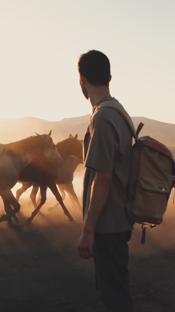 Everywhere Backpack 22L
